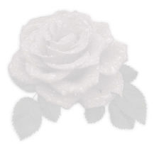 ReservedRose-Roses&Thorns-RGB.jpg